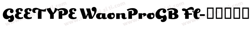 GEETYPE WaonProGB Fl字体转换